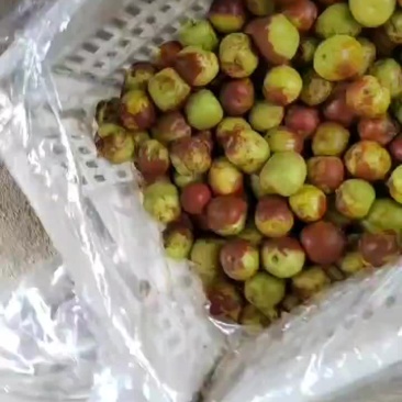 冬枣