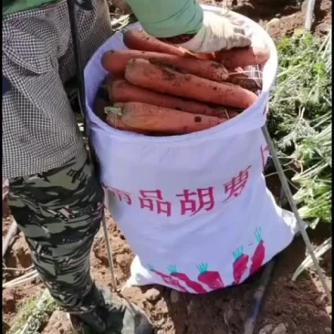 胡萝卜