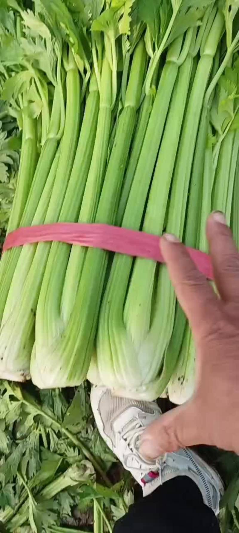 芹菜