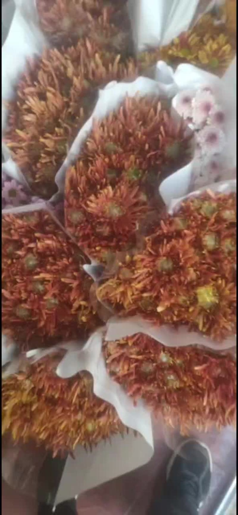 鲜花，鲜切花多头小菊