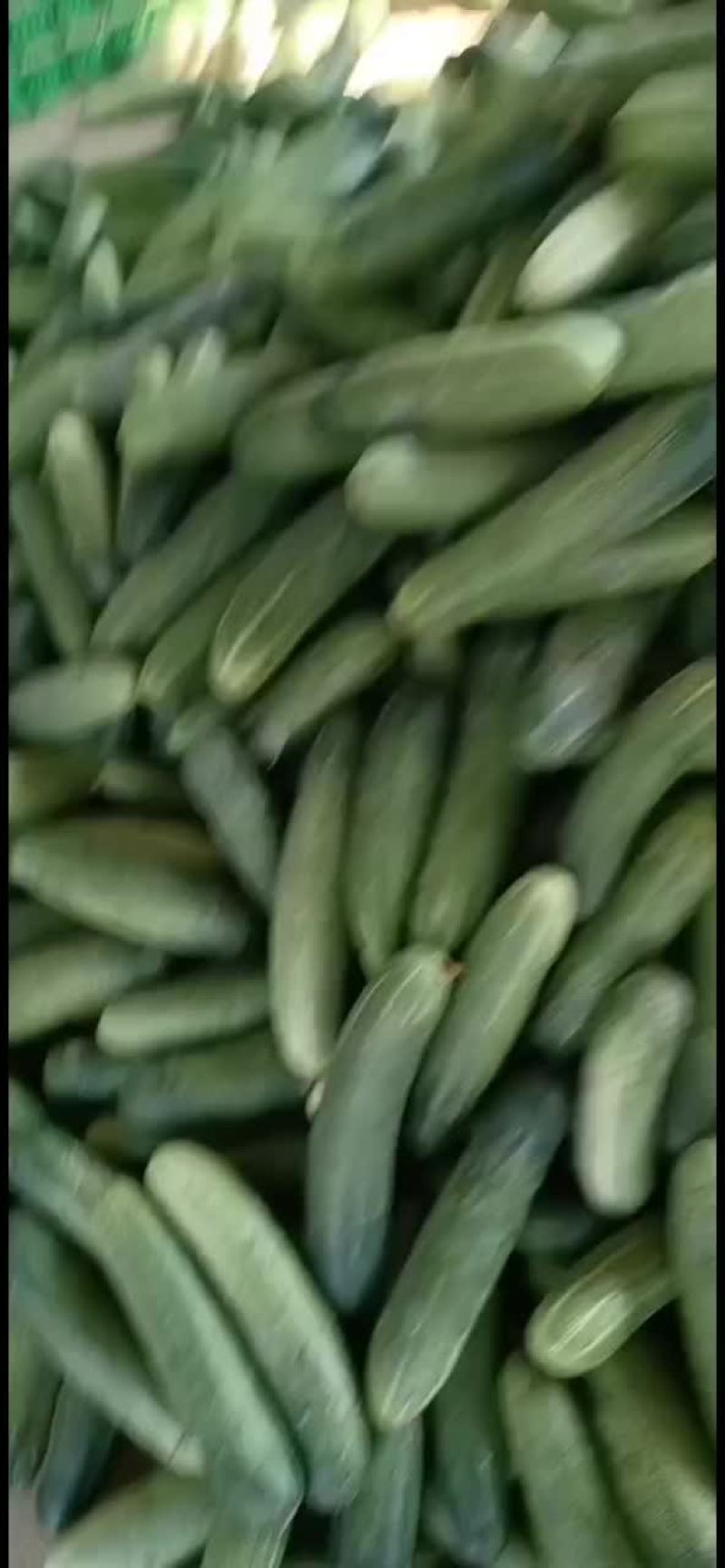 水果黄瓜