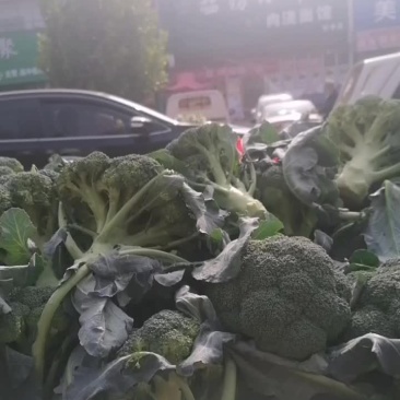 买菜