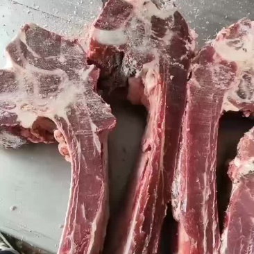 牛肩岬骨