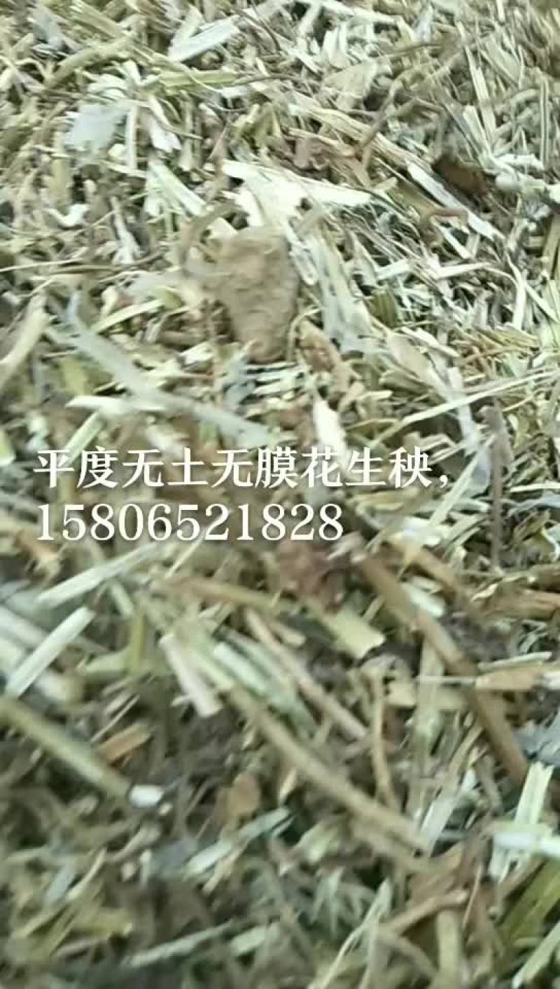 牛羊草