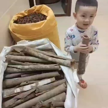 八角桂皮