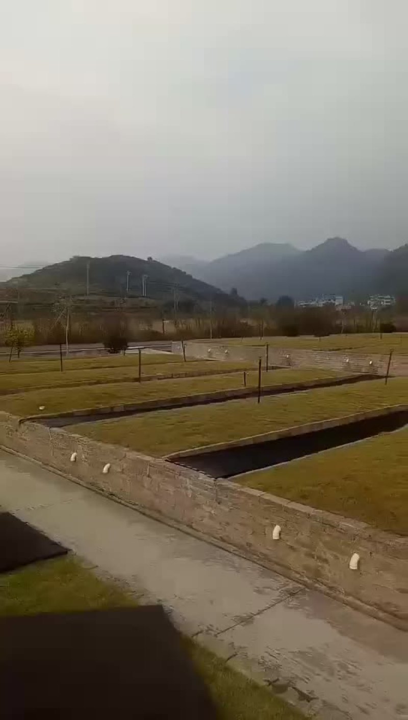 水库长流水人工养殖，大黑花，好货