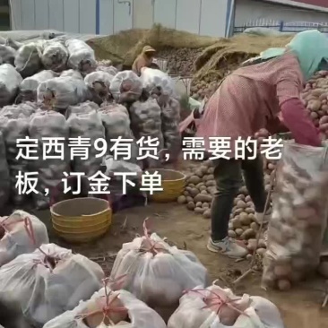 青九
