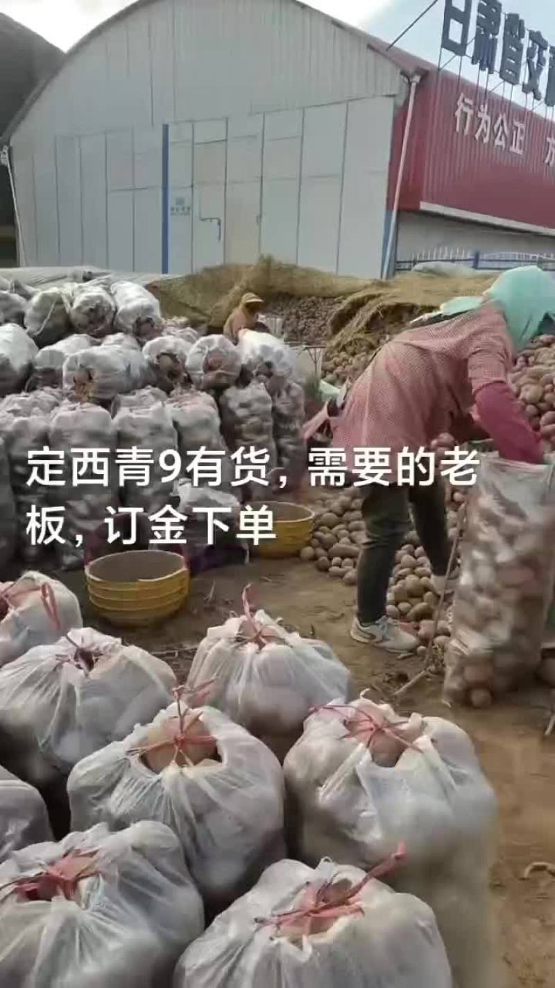 青九