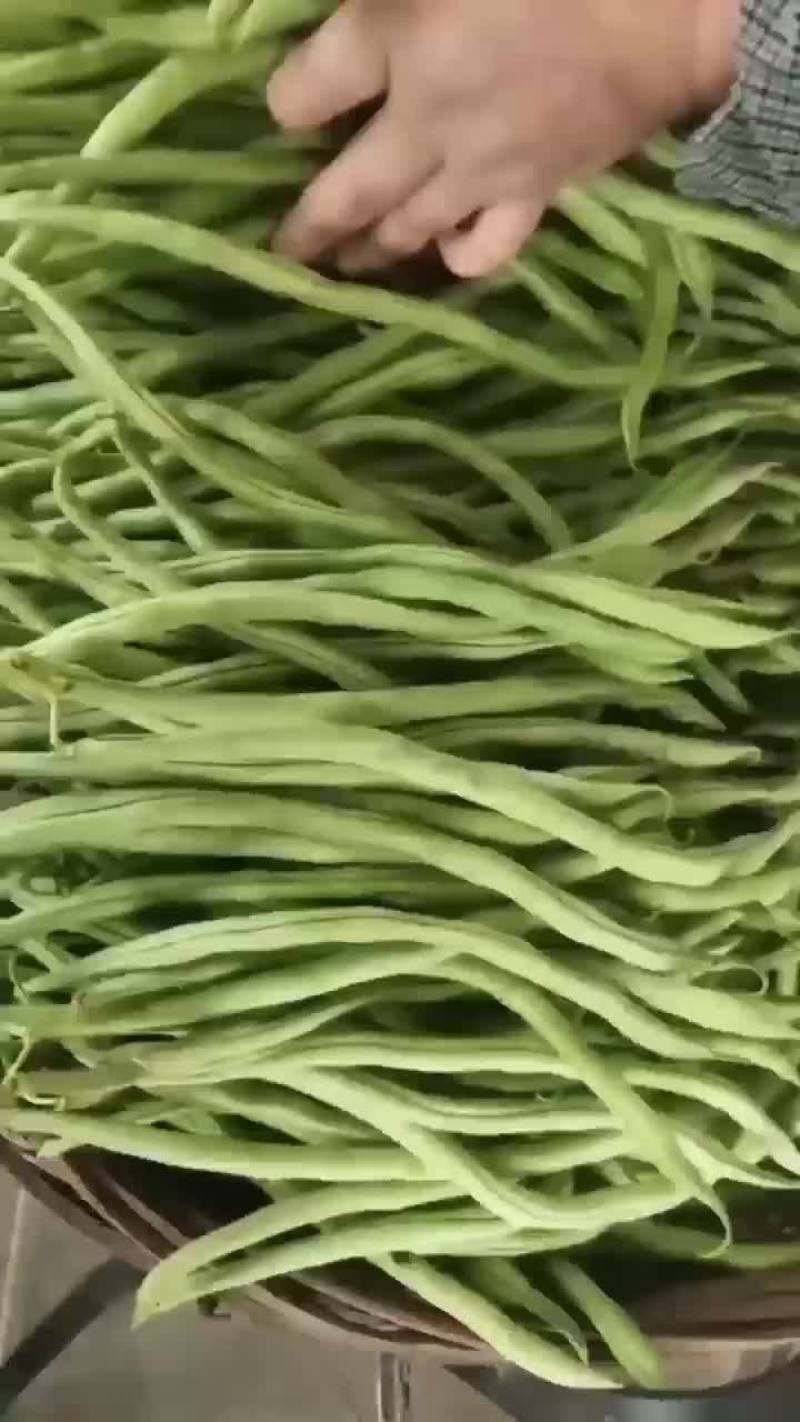 精品无经豆