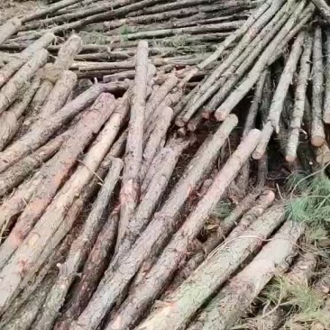 欢迎洽谈