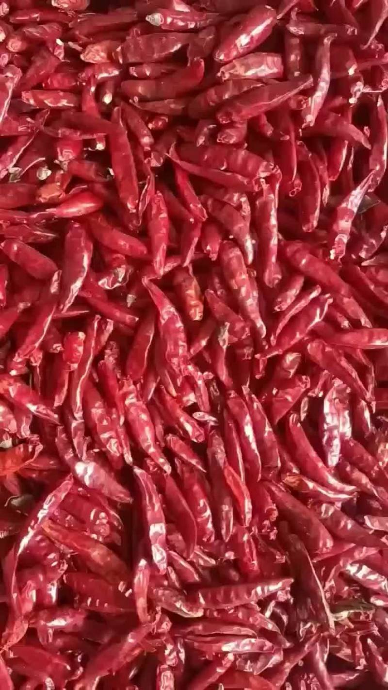 干辣椒大量有货