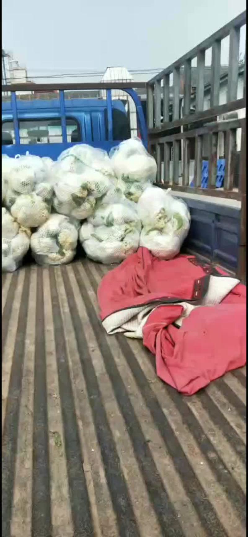 精品有机花大量上市了，价格美丽！