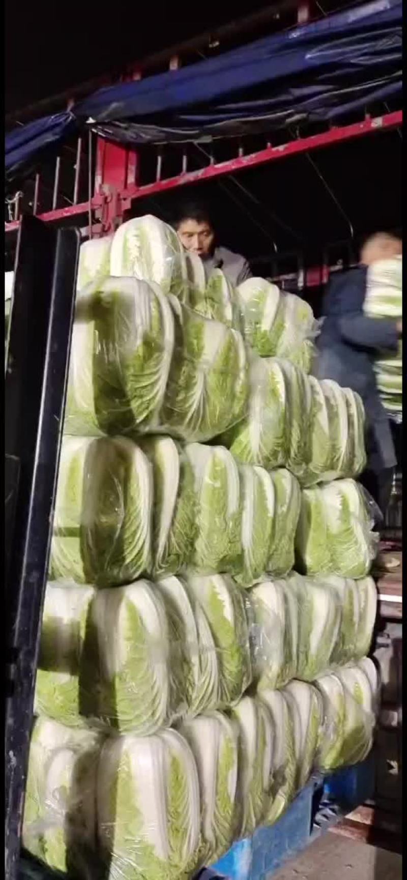 大白菜