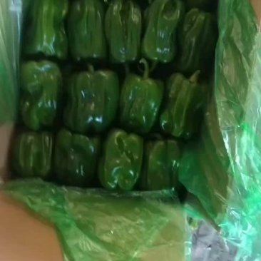 精品麻辣