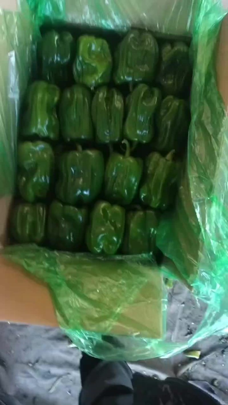精品麻辣
