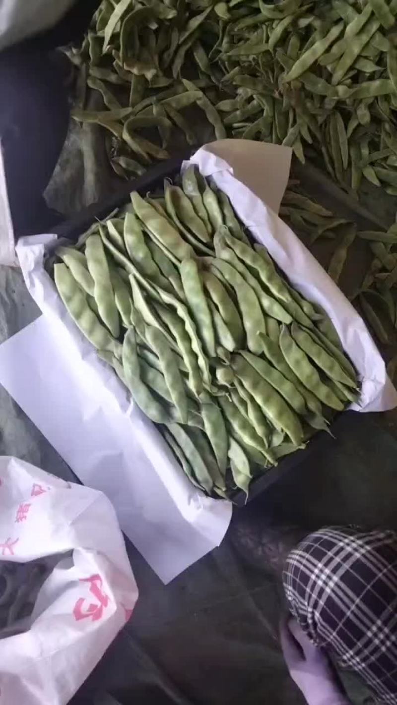 精品麻辣