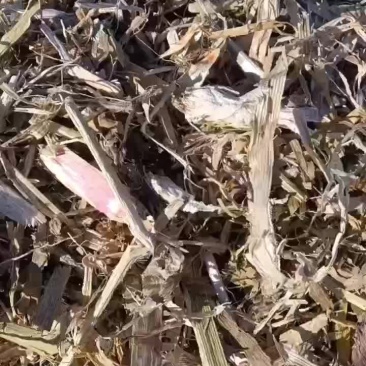 养殖草包