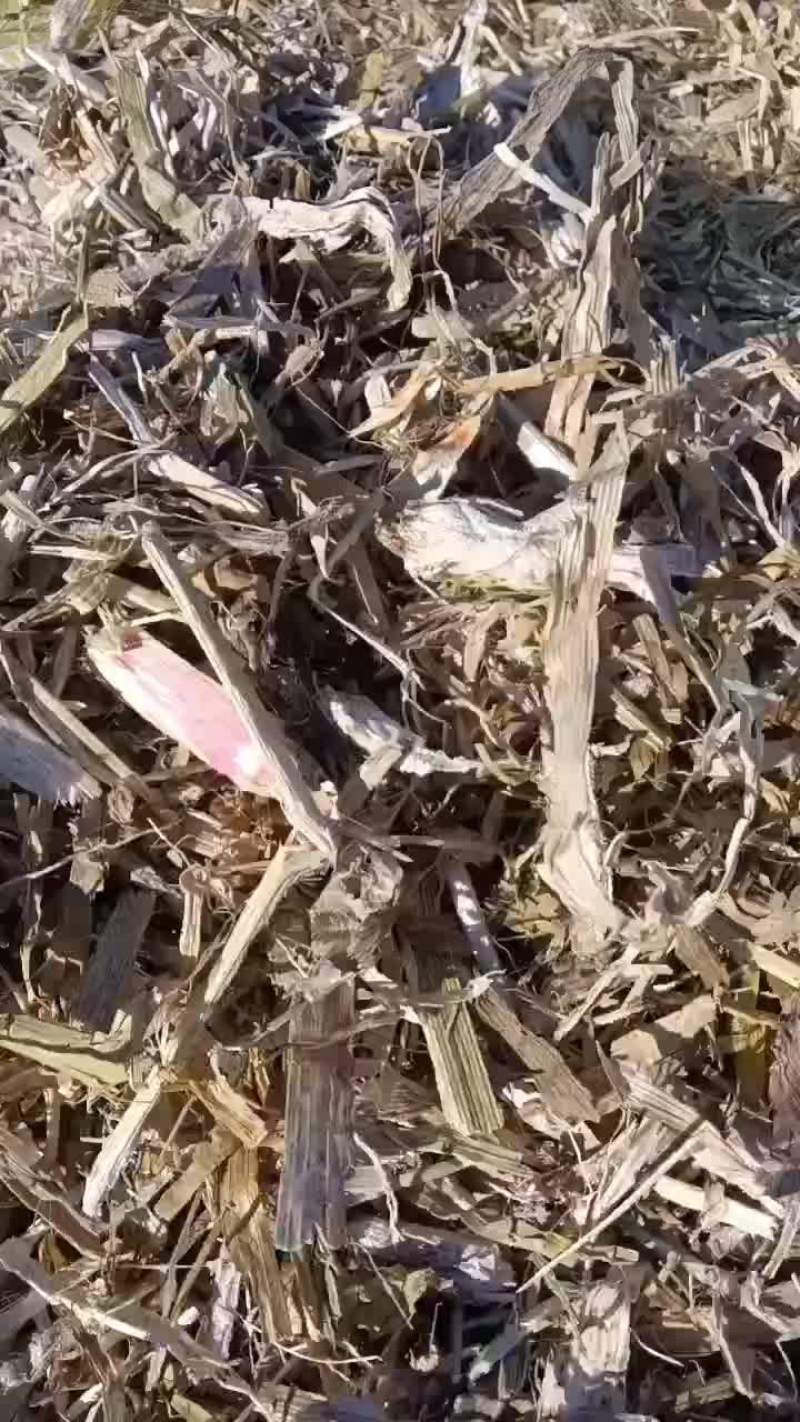 养殖草包