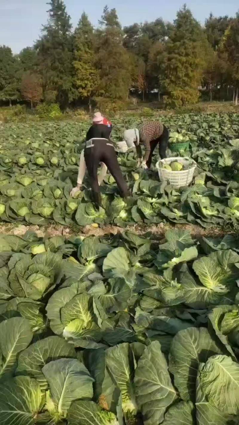 质量可靠，价格优惠