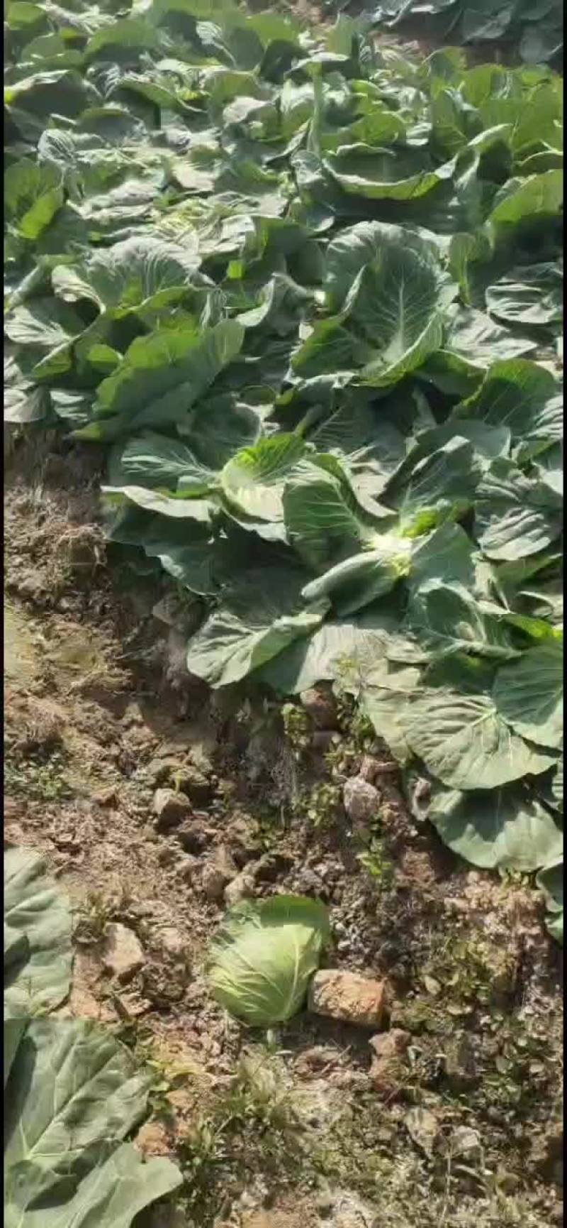 质量可靠，价格优惠