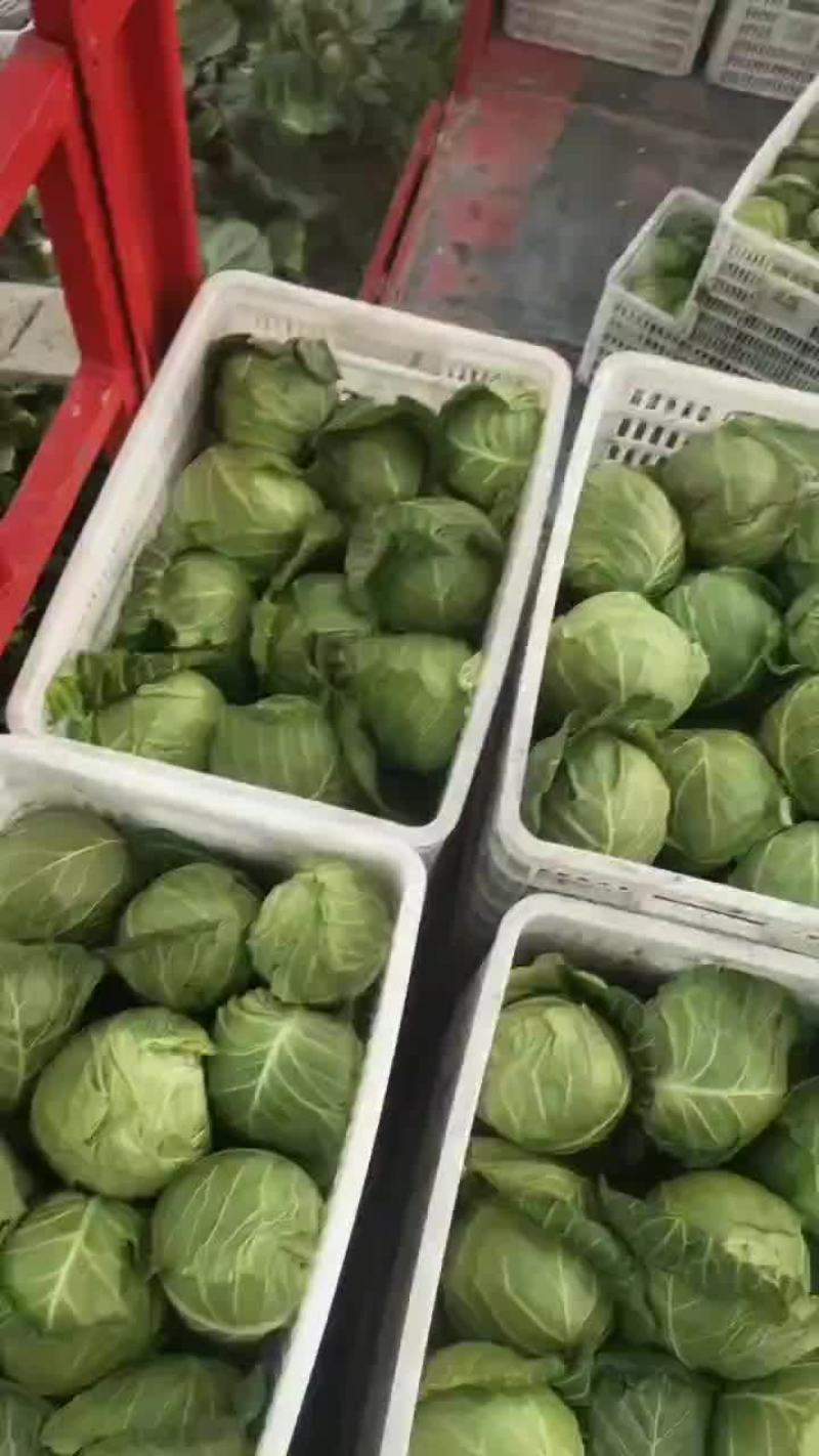 质量可靠，价格优惠
