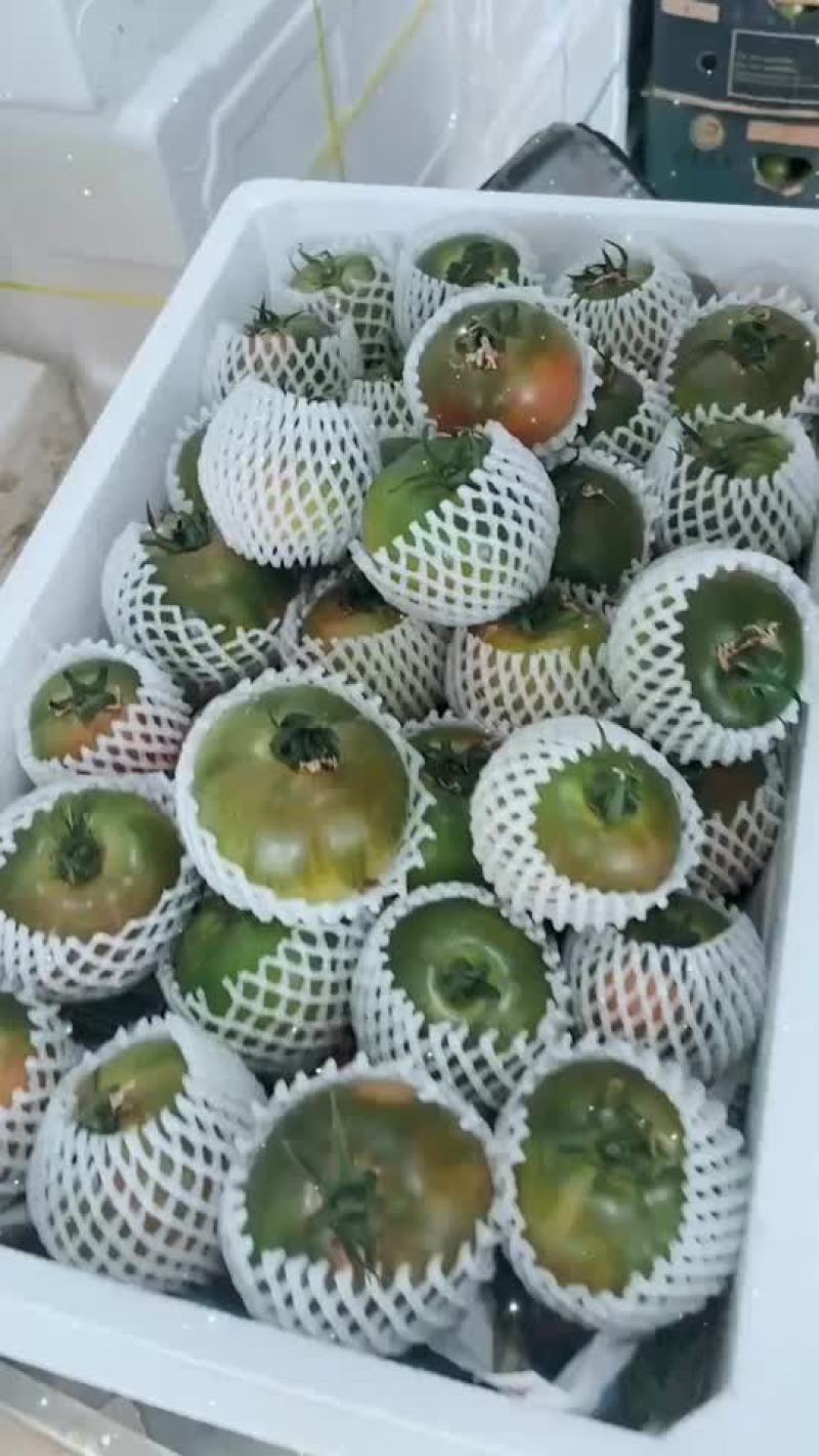 沈阳铁皮柿子基地