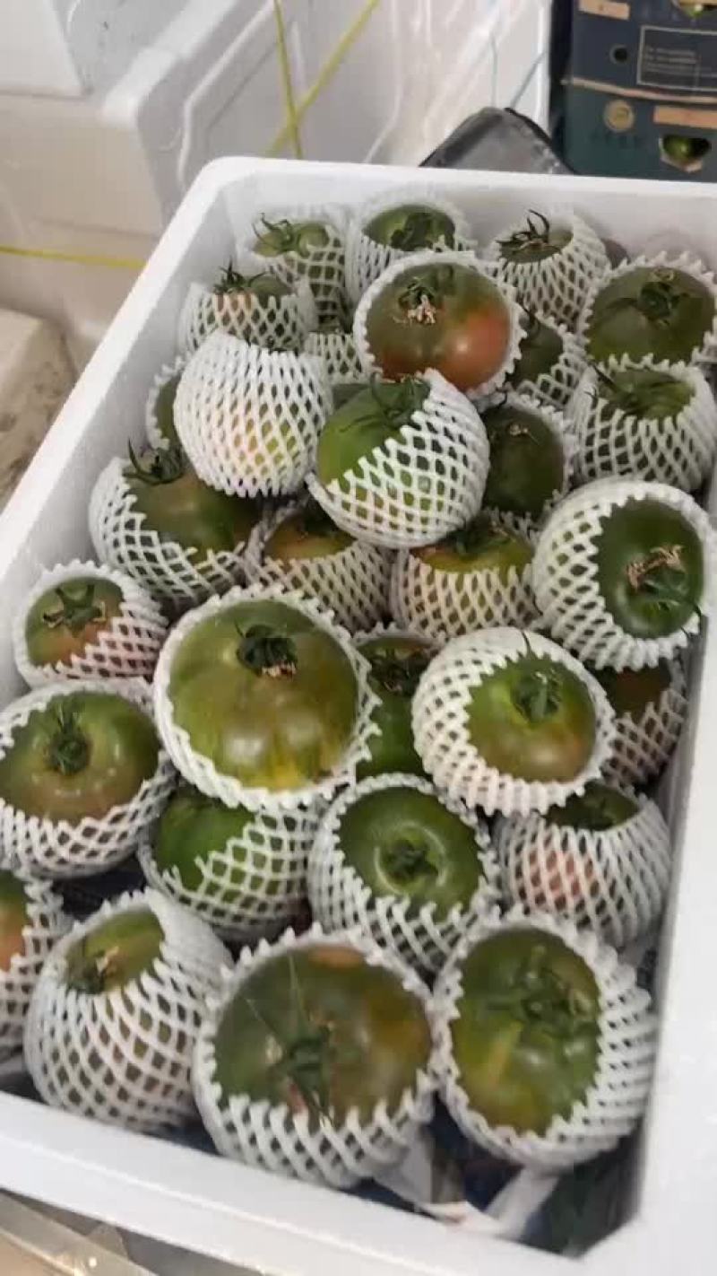 沈阳铁皮柿子基地