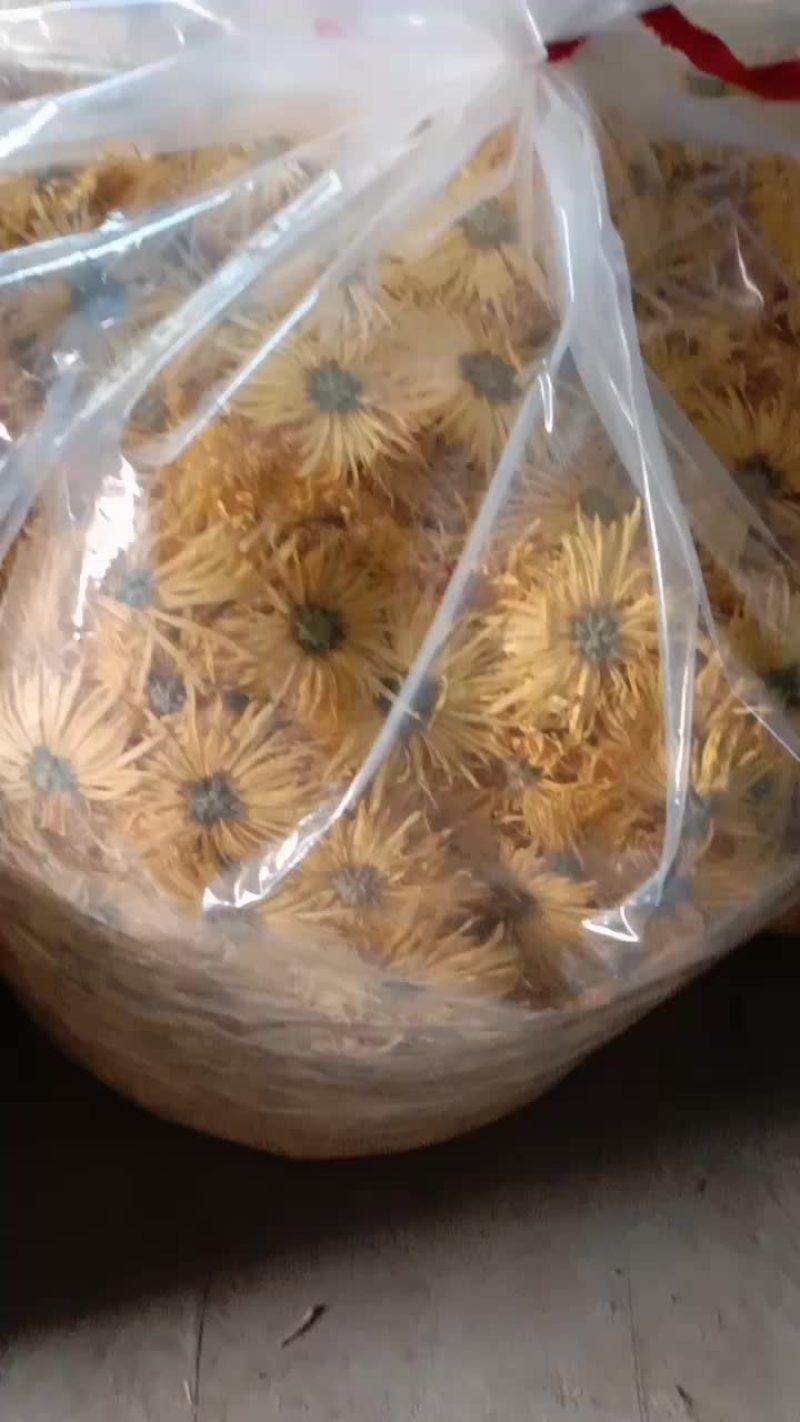 金丝皇菊干货