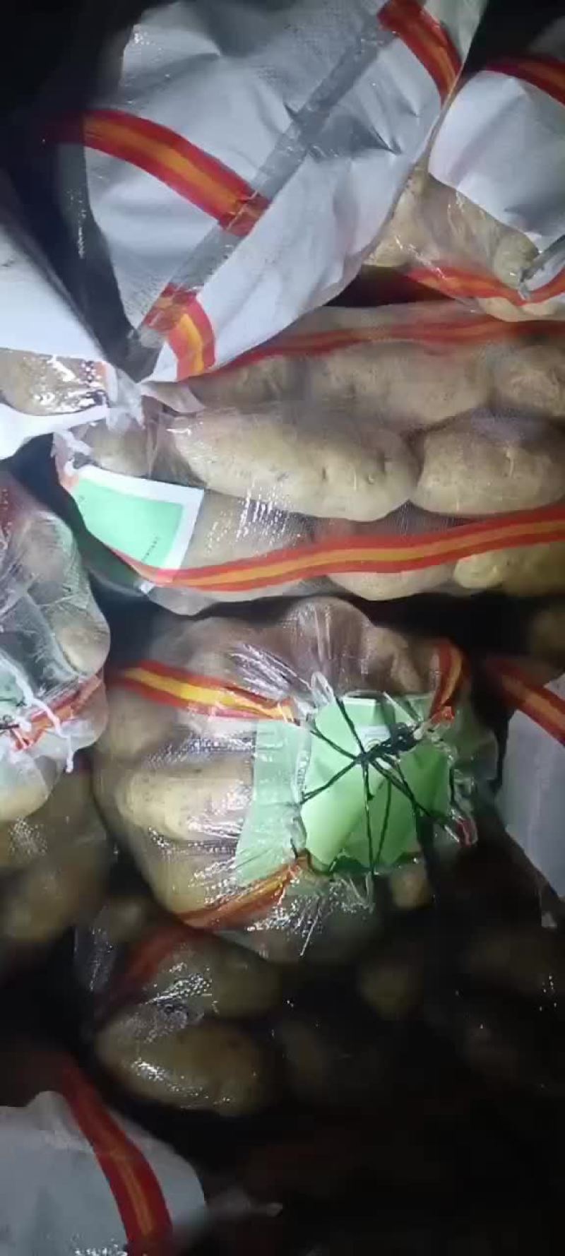 土豆