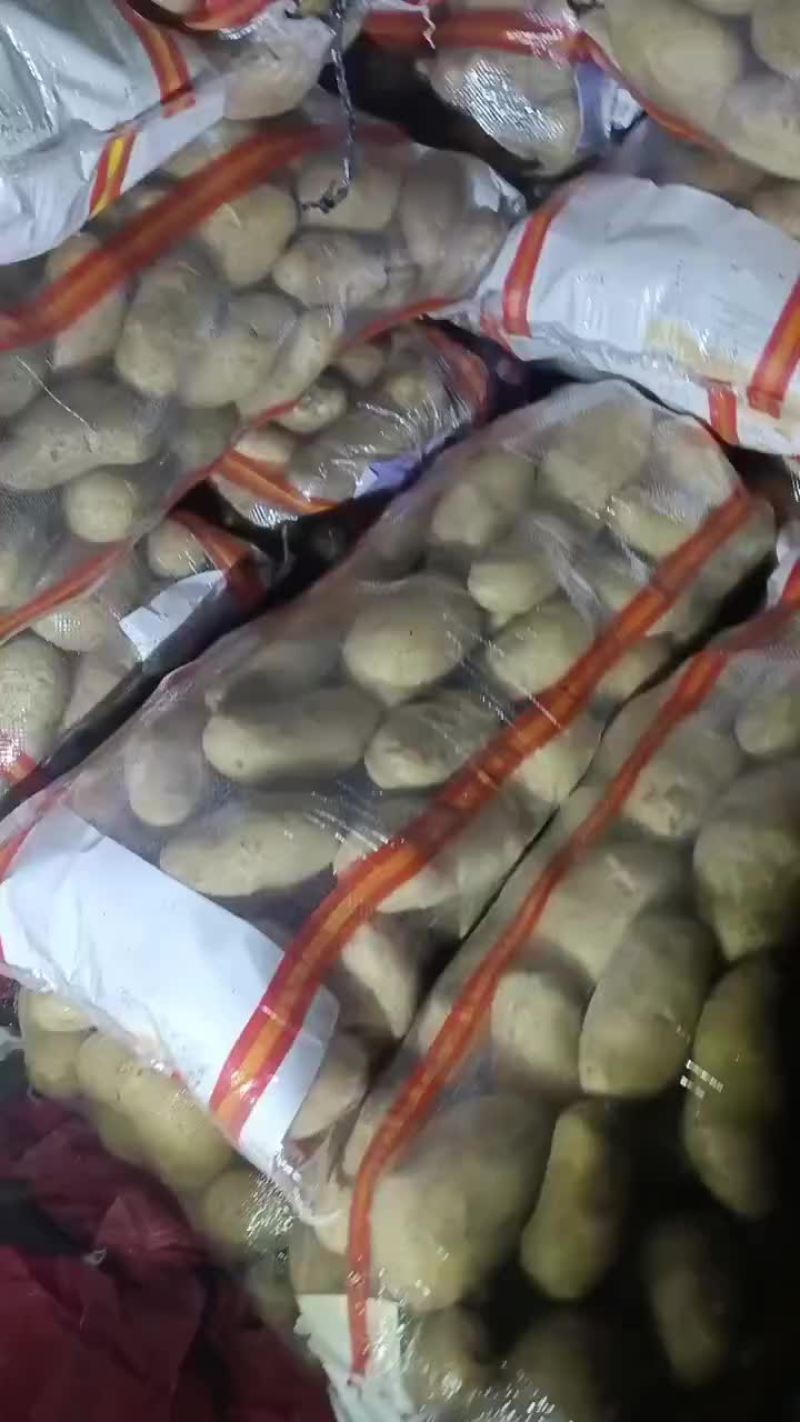 土豆