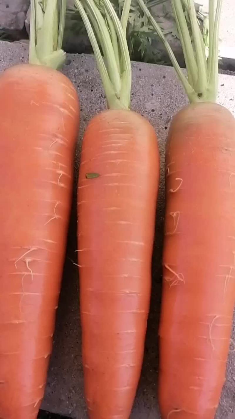 胡萝卜