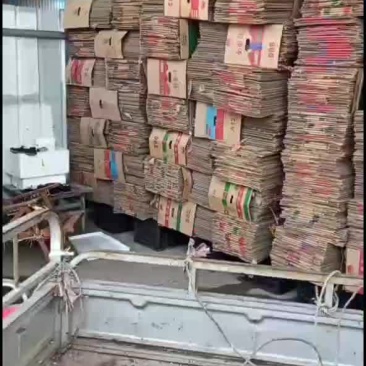 鱼台朋辉精品二手香蕉箱子大量供应