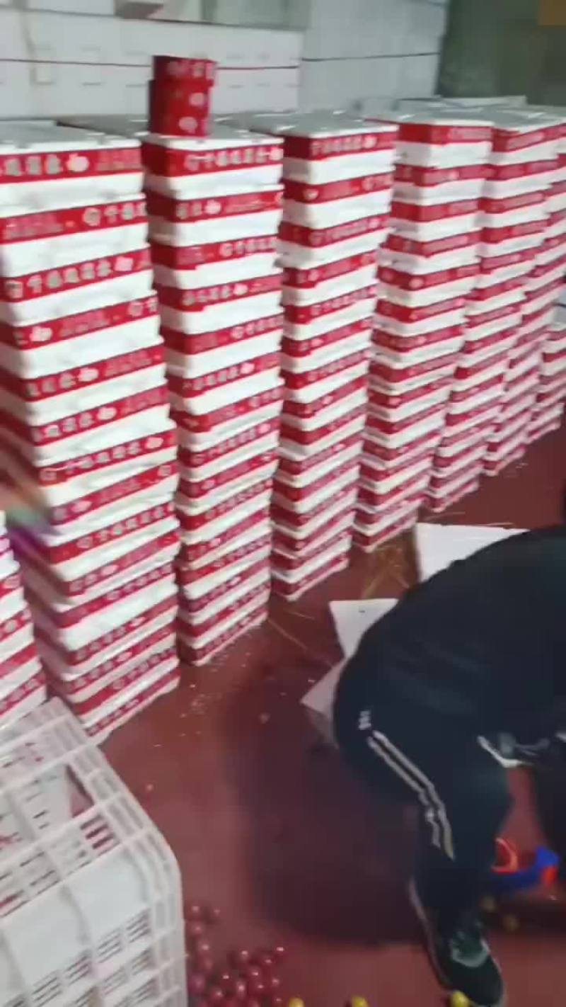 寿光四色圣女果