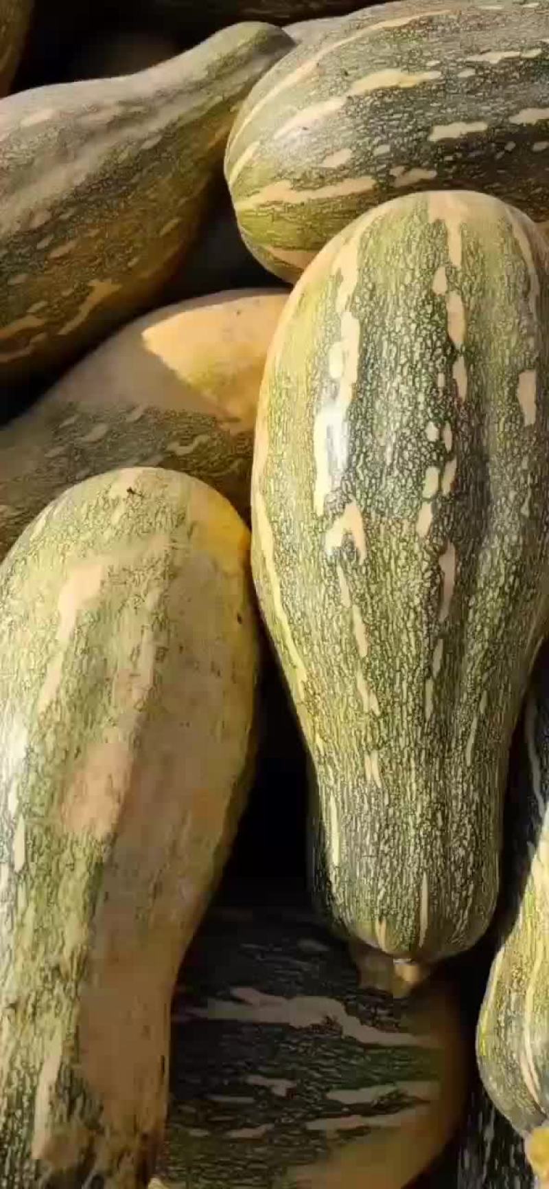 优质南瓜蜜本南瓜质量好，价格优惠