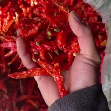 云南建水干辣椒