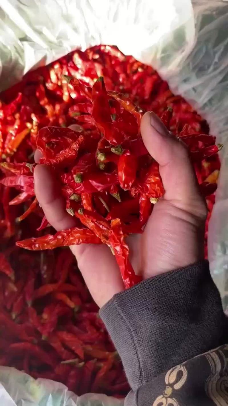 云南建水干辣椒