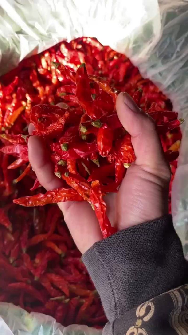 云南建水干辣椒