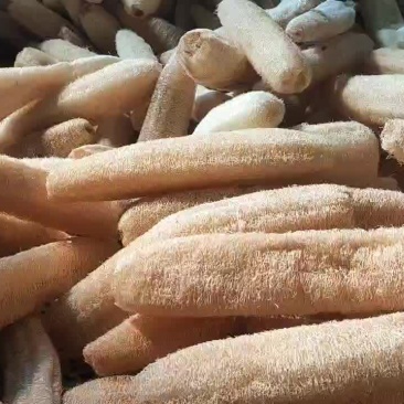 丝瓜络，中药材，洗碗布。