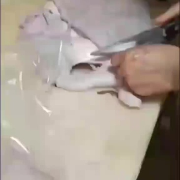 精修驴皮