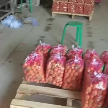 精品红萝卜