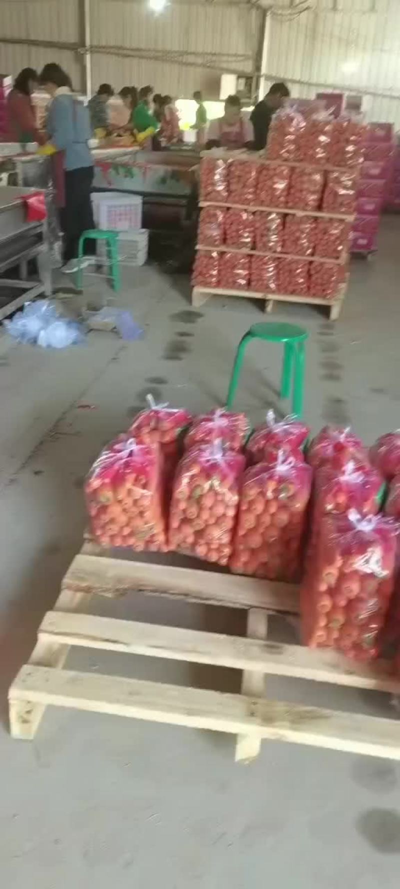 精品红萝卜