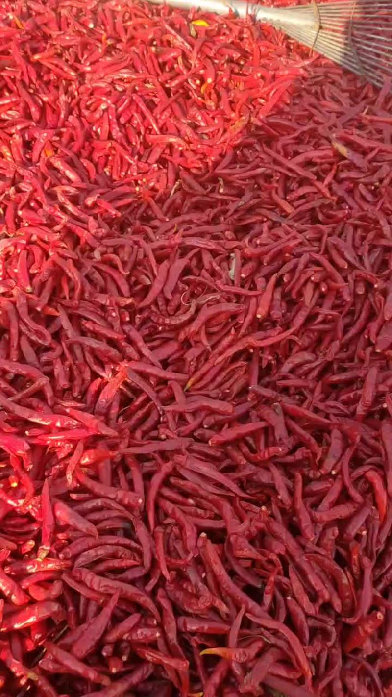 红️辣椒