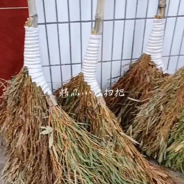 小竹扫把