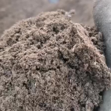甘肃古浪黄花滩发酵纯羊粪专业生产厂家，量大从优