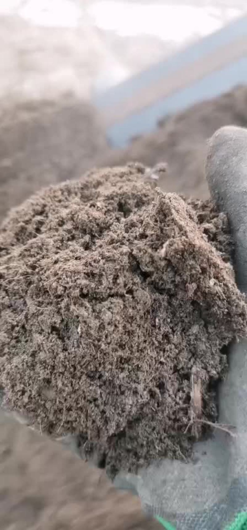 甘肃古浪黄花滩发酵纯羊粪专业生产厂家，量大从优