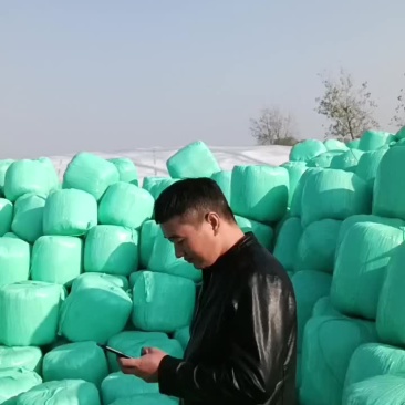 玉米秸秆黄储