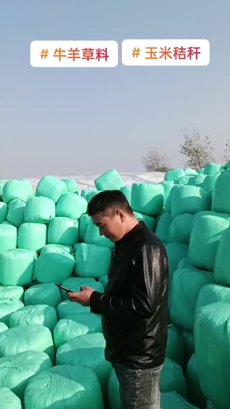 玉米秸秆黄储