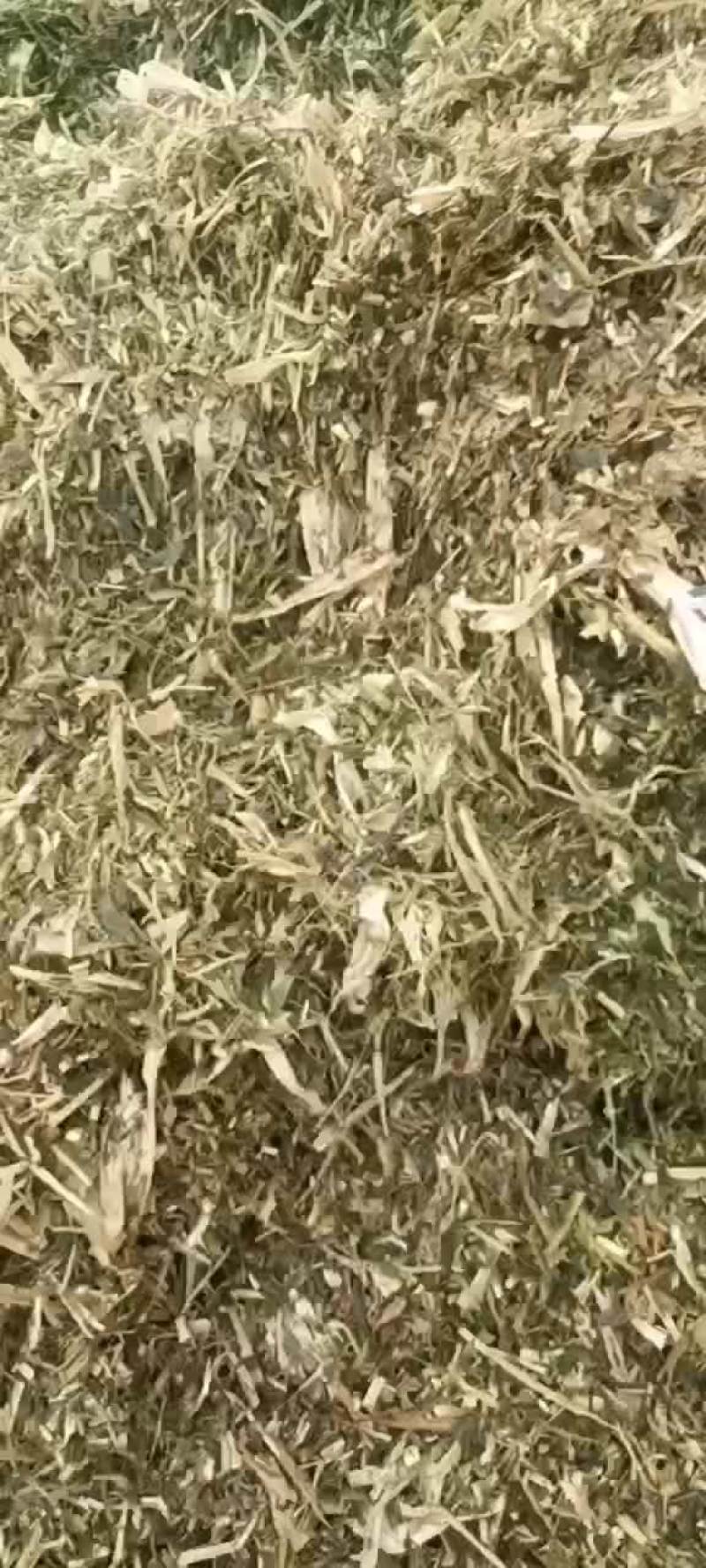 玉米秸秆黄储