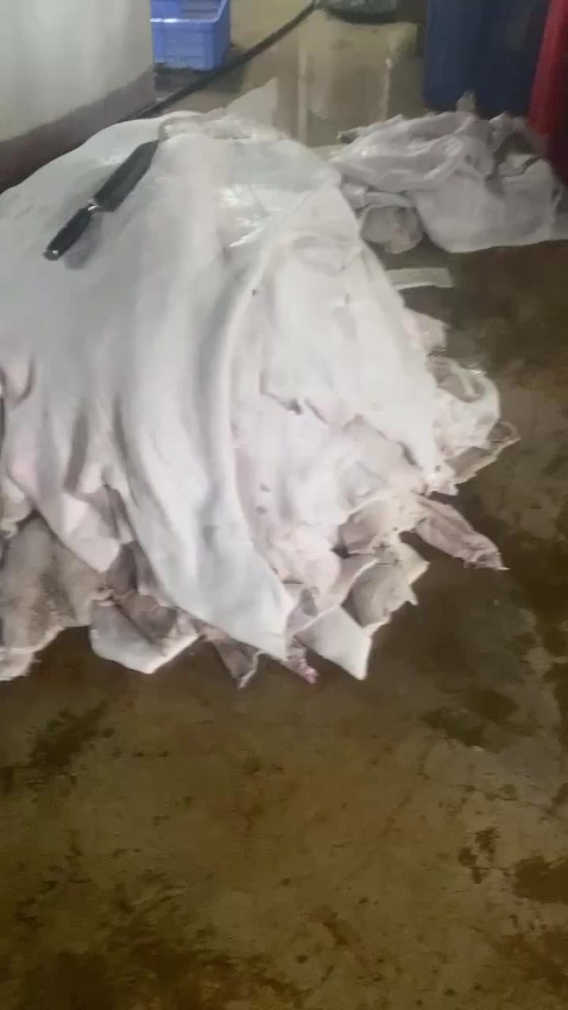 水退西门塔黄牛皮