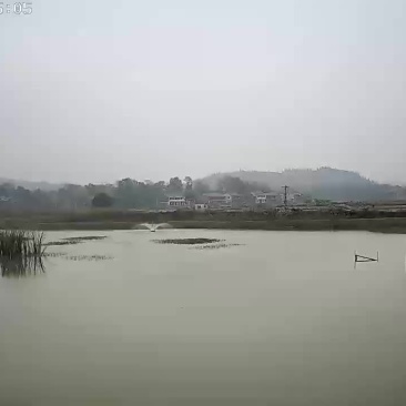养殖塘口出租或转让
